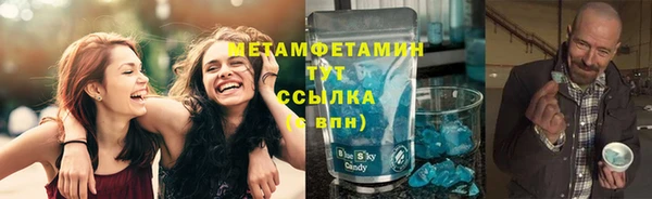 шишки Абаза