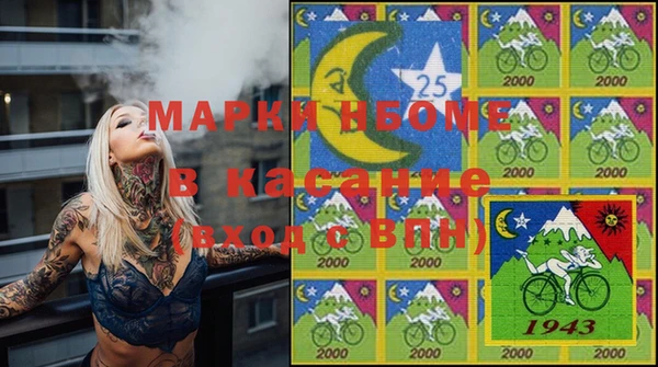 шишки Абаза