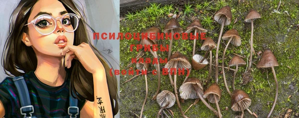 МДПВ Абдулино