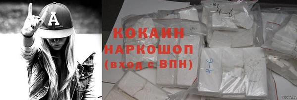 шишки Абаза