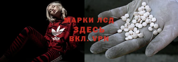 шишки Абаза