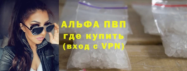 шишки Абаза