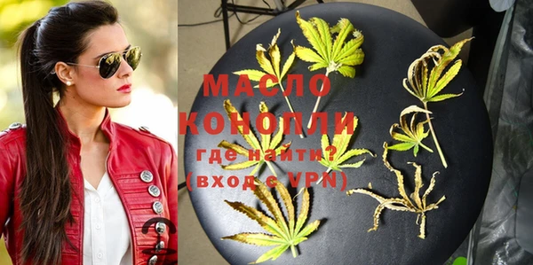 шишки Абаза