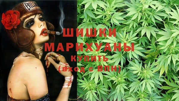 шишки Абаза