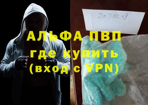 шишки Абаза