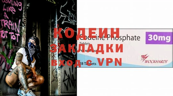 шишки Абаза