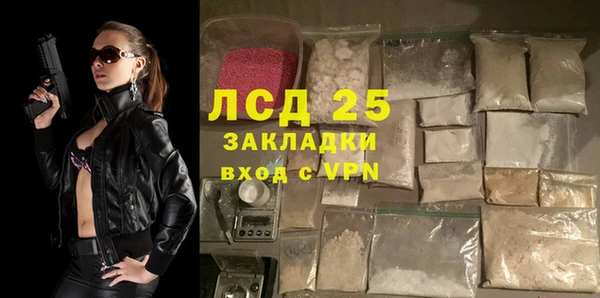шишки Абаза