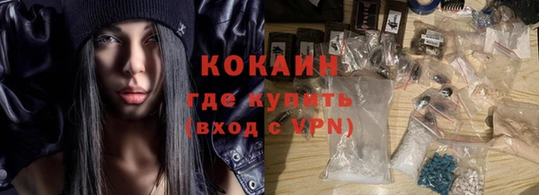 шишки Абаза