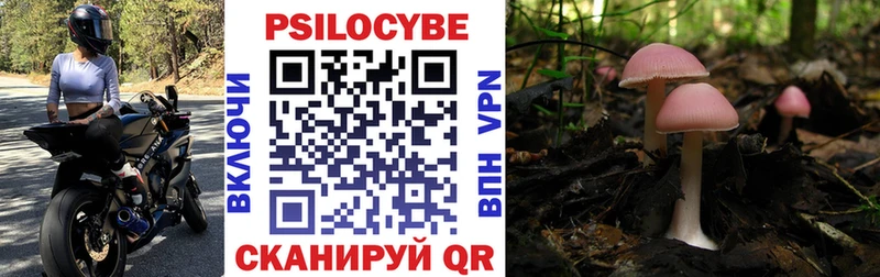 Галлюциногенные грибы Psilocybine cubensis  цена   Агидель 